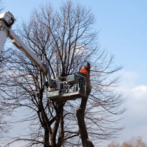 Travaux-en-hauteur.webp
